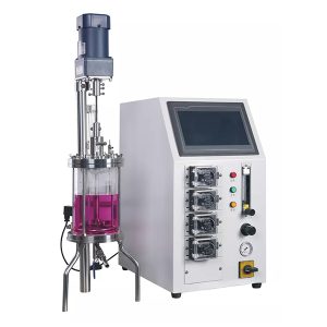 stekleni encimski reaktor