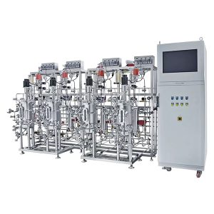 več vzporednih fermentorjev iz nerjavečega jekla