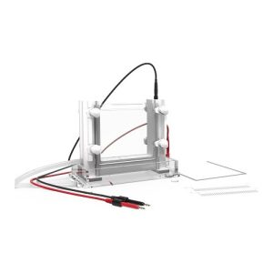 vertikalna elektroforezna celica